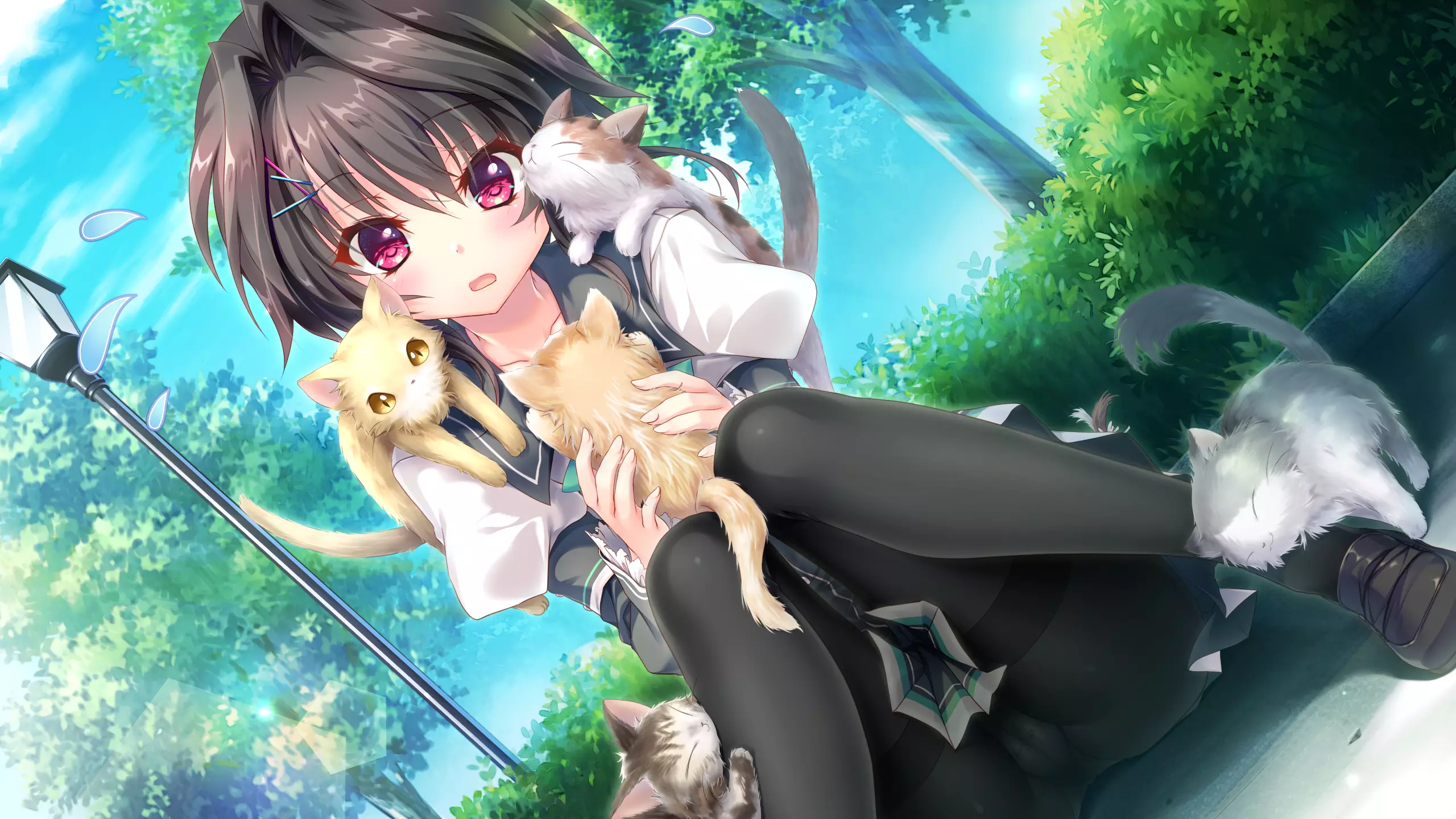 9nine 希亚专属bgm 虻川治-Strict resT 总谱 试听 